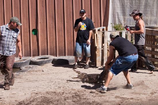 https://mdw-travel-data-us-east-1.s3.amazonaws.com/img/country/United-States/Colorado-Gators-Reptile-Park/img_02.jpg