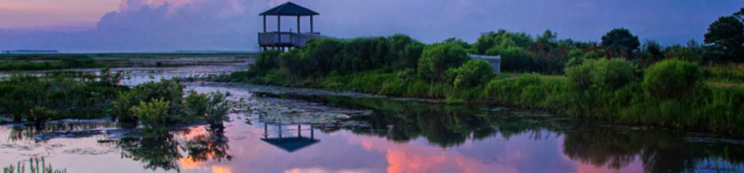 https://mdw-travel-data-us-east-1.s3.amazonaws.com/img/country/United-States/Creole-Nature-Trail/img_01.jpg