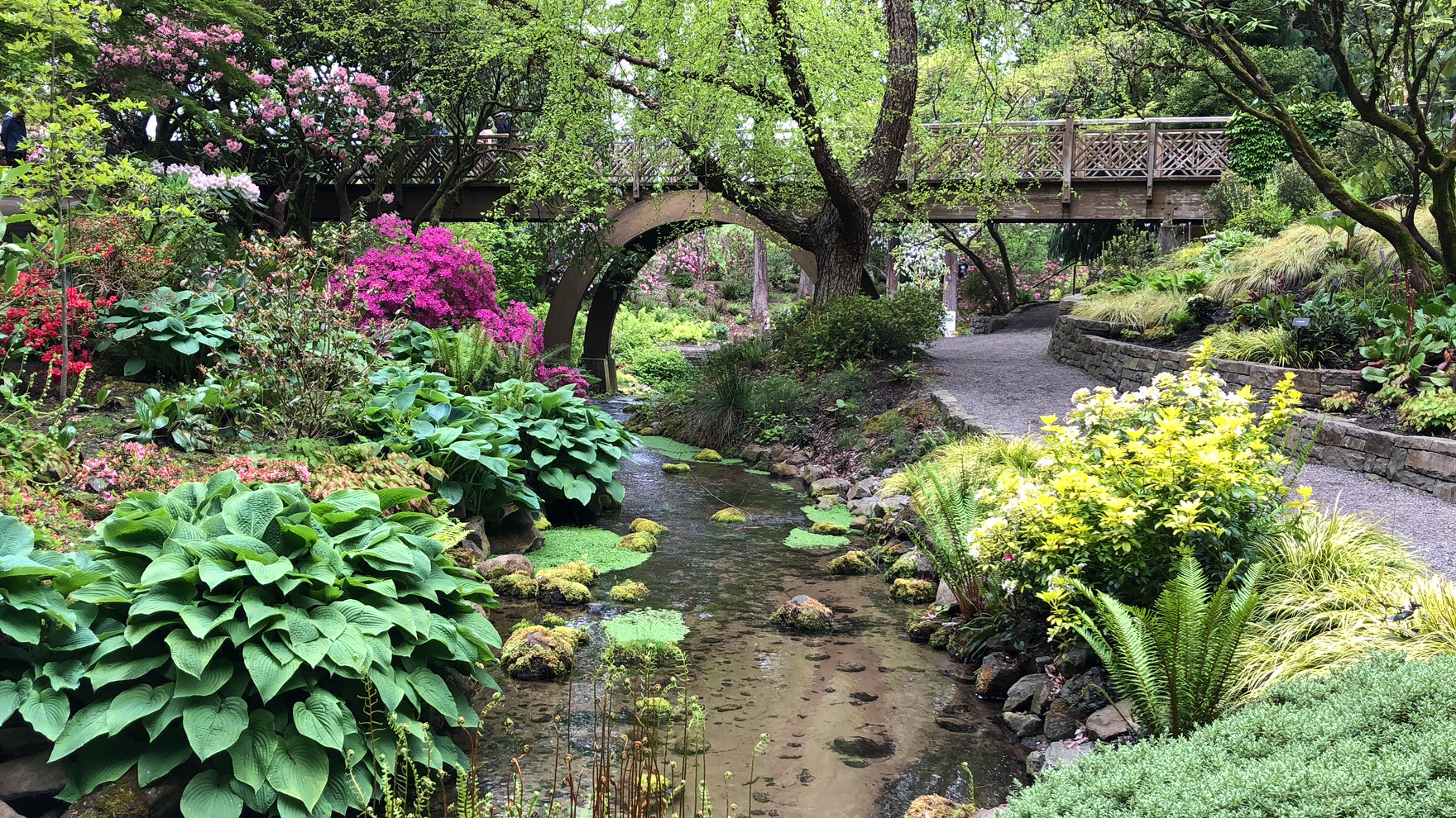 https://mdw-travel-data-us-east-1.s3.amazonaws.com/img/country/United-States/Crystal-Springs-Rhododendron-Garden/img_01.jpg