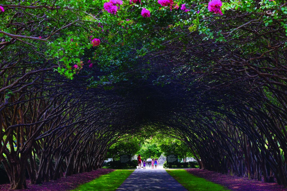 https://mdw-travel-data-us-east-1.s3.amazonaws.com/img/country/United-States/Dallas-Arboretum-and-Botanical-Garden/img_01.jpg