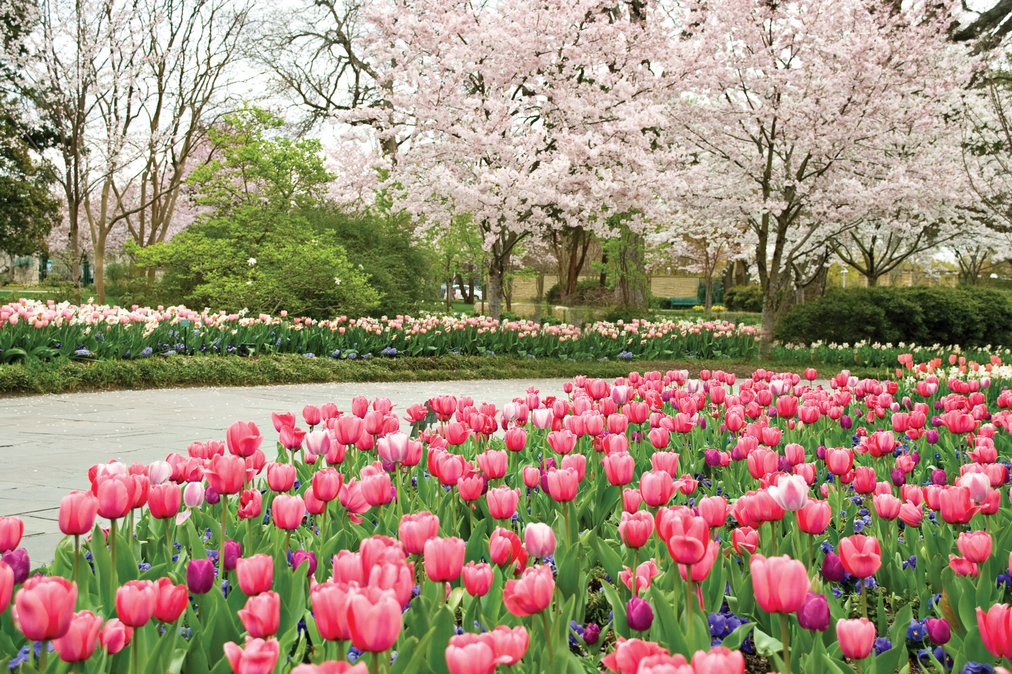 https://mdw-travel-data-us-east-1.s3.amazonaws.com/img/country/United-States/Dallas-Arboretum-and-Botanical-Garden/img_02.jpg