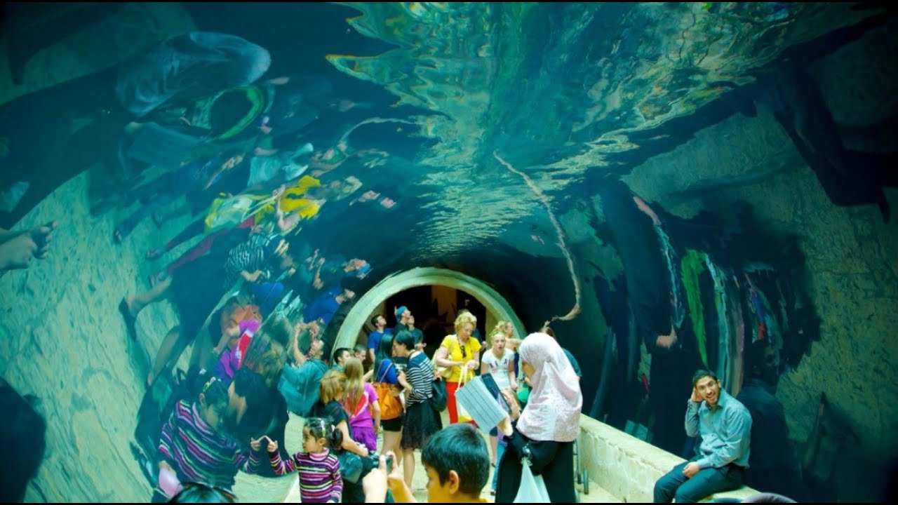 https://mdw-travel-data-us-east-1.s3.amazonaws.com/img/country/United-States/Dallas-World-Aquarium/img_00.jpg
