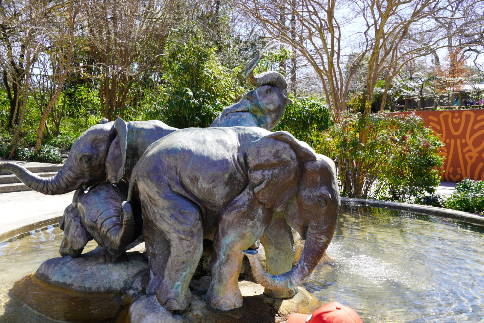 https://mdw-travel-data-us-east-1.s3.amazonaws.com/img/country/United-States/Dallas-Zoo/img_01.jpg