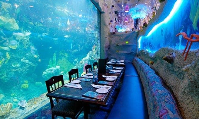 https://mdw-travel-data-us-east-1.s3.amazonaws.com/img/country/United-States/Denver-Aquarium/img_01.jpg