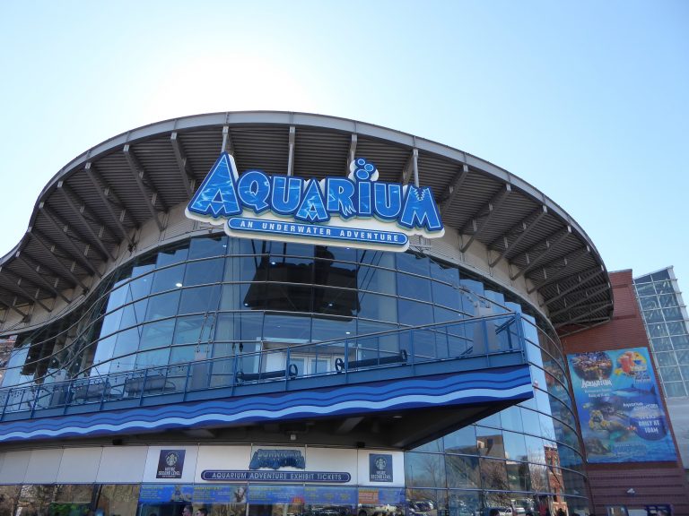 https://mdw-travel-data-us-east-1.s3.amazonaws.com/img/country/United-States/Denver-Aquarium/img_02.jpg