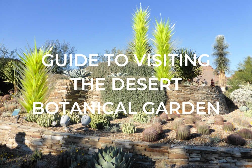 https://mdw-travel-data-us-east-1.s3.amazonaws.com/img/country/United-States/Desert-Botanical-Garden/img_02.jpg