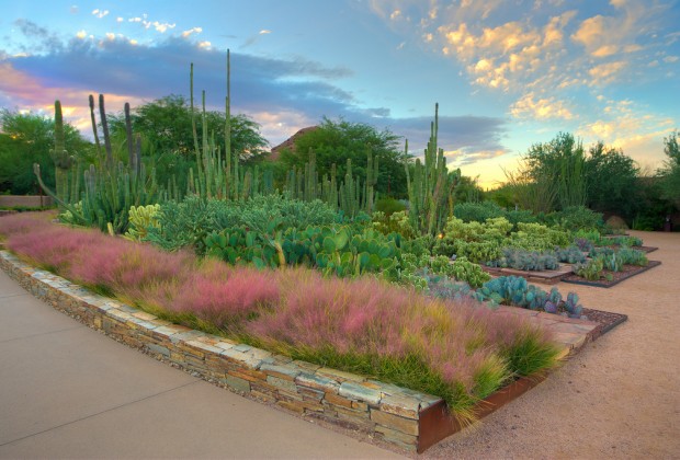 https://mdw-travel-data-us-east-1.s3.amazonaws.com/img/country/United-States/Desert-Botanical-Garden/img_05.jpg