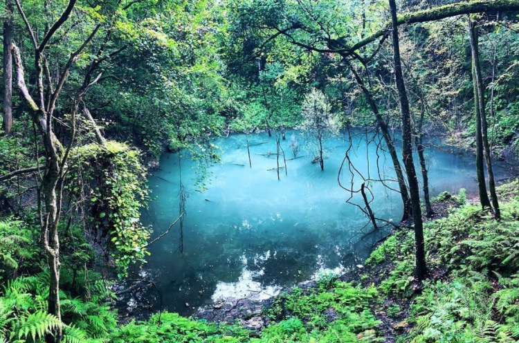 https://mdw-travel-data-us-east-1.s3.amazonaws.com/img/country/United-States/Devils-Millhopper-Geological-State-Park/img_00.jpg