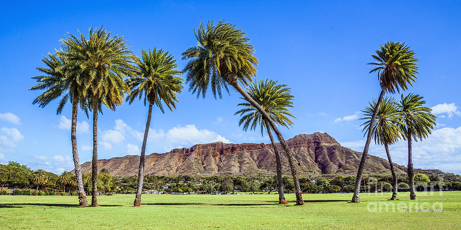 https://mdw-travel-data-us-east-1.s3.amazonaws.com/img/country/United-States/Diamond-Head-State-Monument/img_01.jpg