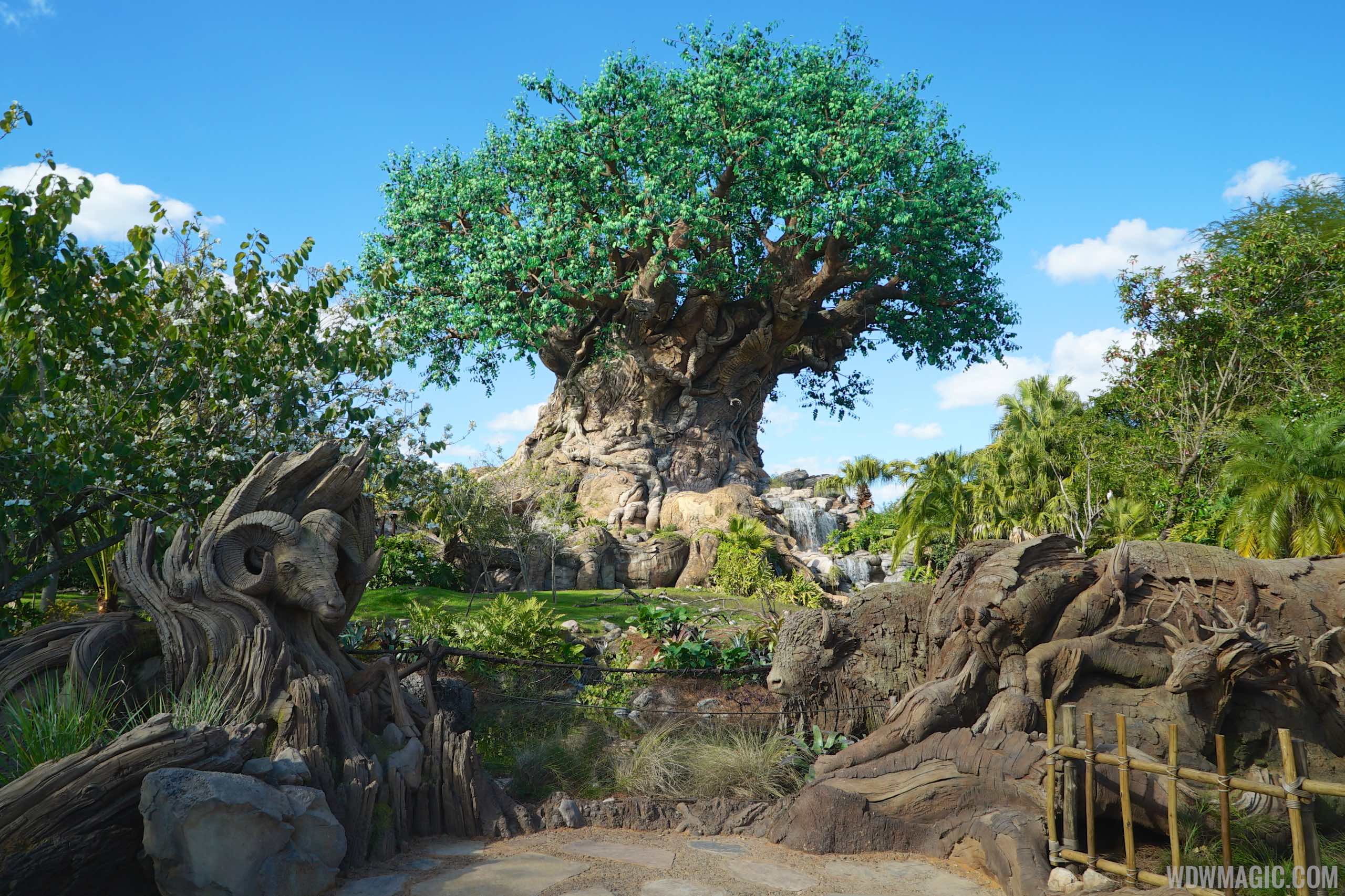 https://mdw-travel-data-us-east-1.s3.amazonaws.com/img/country/United-States/Disneys-Animal-Kingdom/img_00.jpg