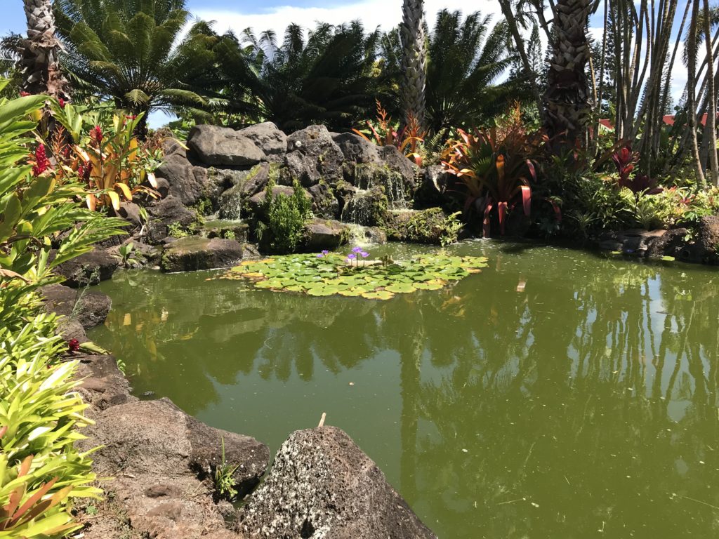 https://mdw-travel-data-us-east-1.s3.amazonaws.com/img/country/United-States/Dole-Plantation/img_02.jpg