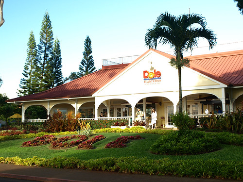 https://mdw-travel-data-us-east-1.s3.amazonaws.com/img/country/United-States/Dole-Plantation/img_03.jpg