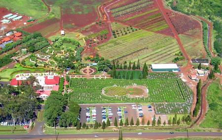 https://mdw-travel-data-us-east-1.s3.amazonaws.com/img/country/United-States/Dole-Plantation/img_05.jpg