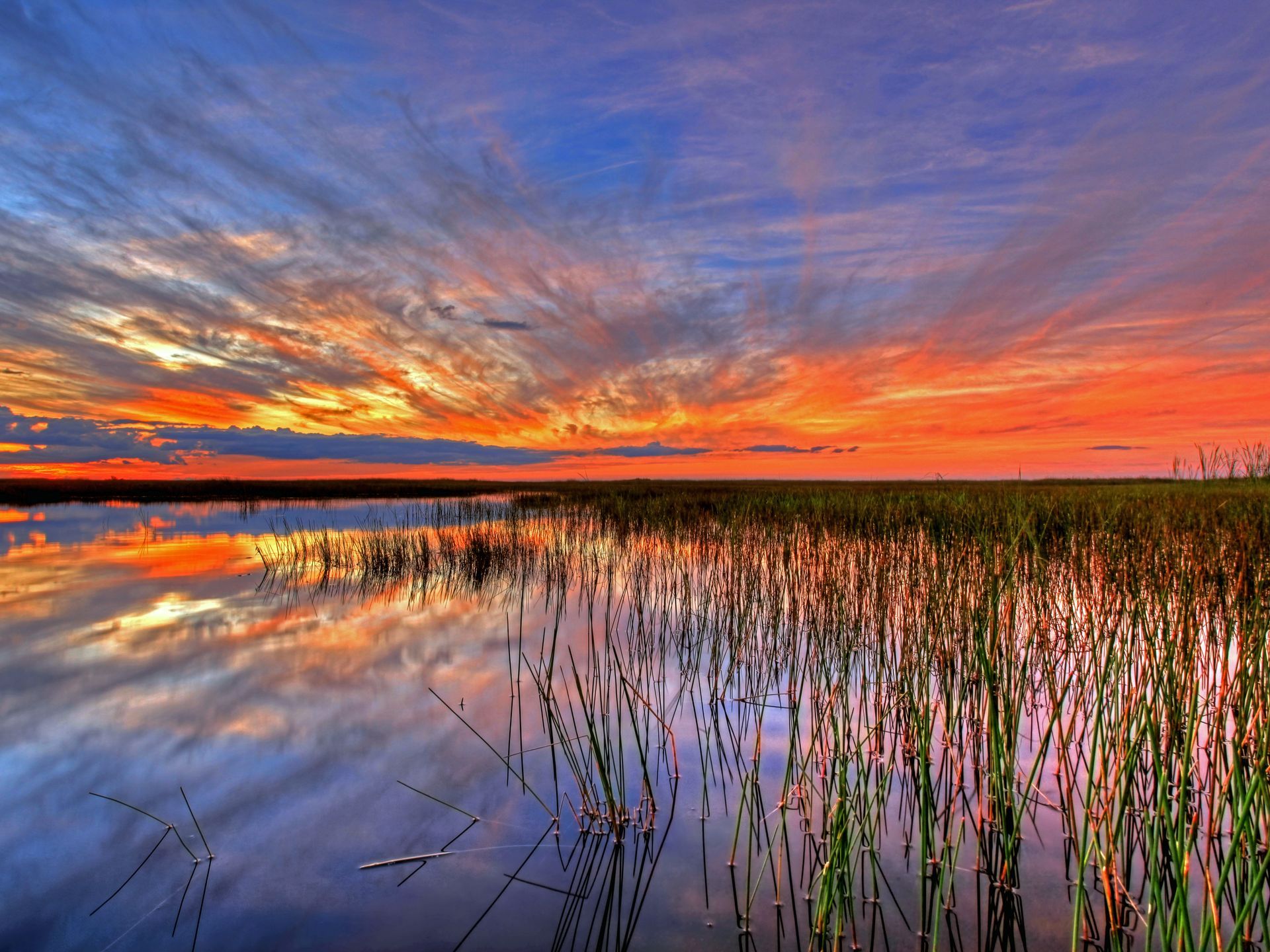 https://mdw-travel-data-us-east-1.s3.amazonaws.com/img/country/United-States/Everglades-National-Park/img_01.jpg