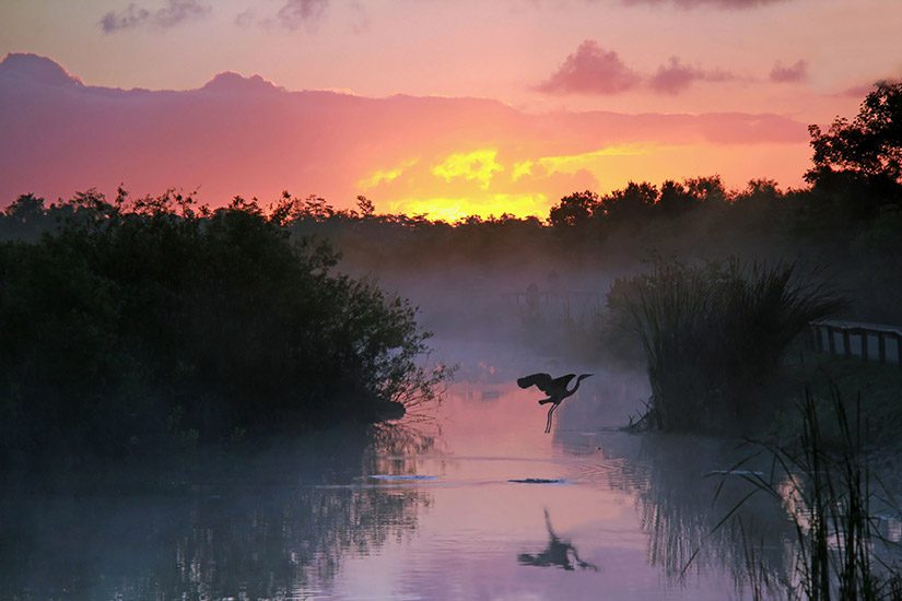 https://mdw-travel-data-us-east-1.s3.amazonaws.com/img/country/United-States/Everglades-National-Park/img_02.jpg