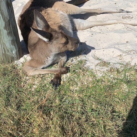 https://mdw-travel-data-us-east-1.s3.amazonaws.com/img/country/United-States/Exotic-Animal-Experience/img_01.jpg