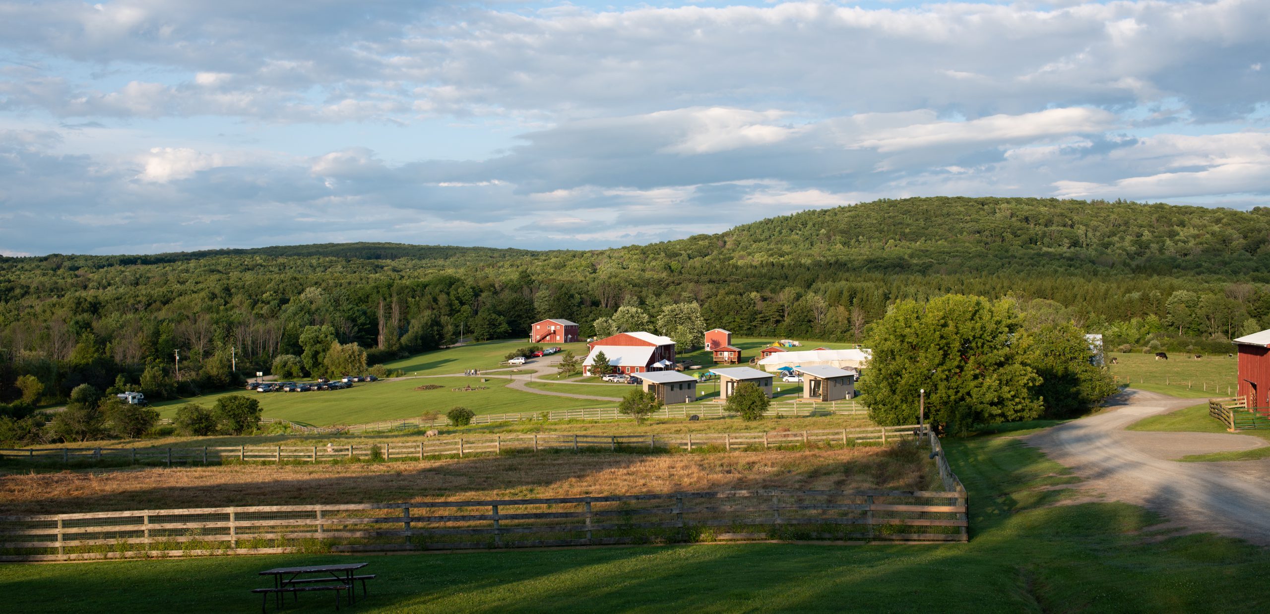 https://mdw-travel-data-us-east-1.s3.amazonaws.com/img/country/United-States/Farm-Sanctuary/img_02.jpg