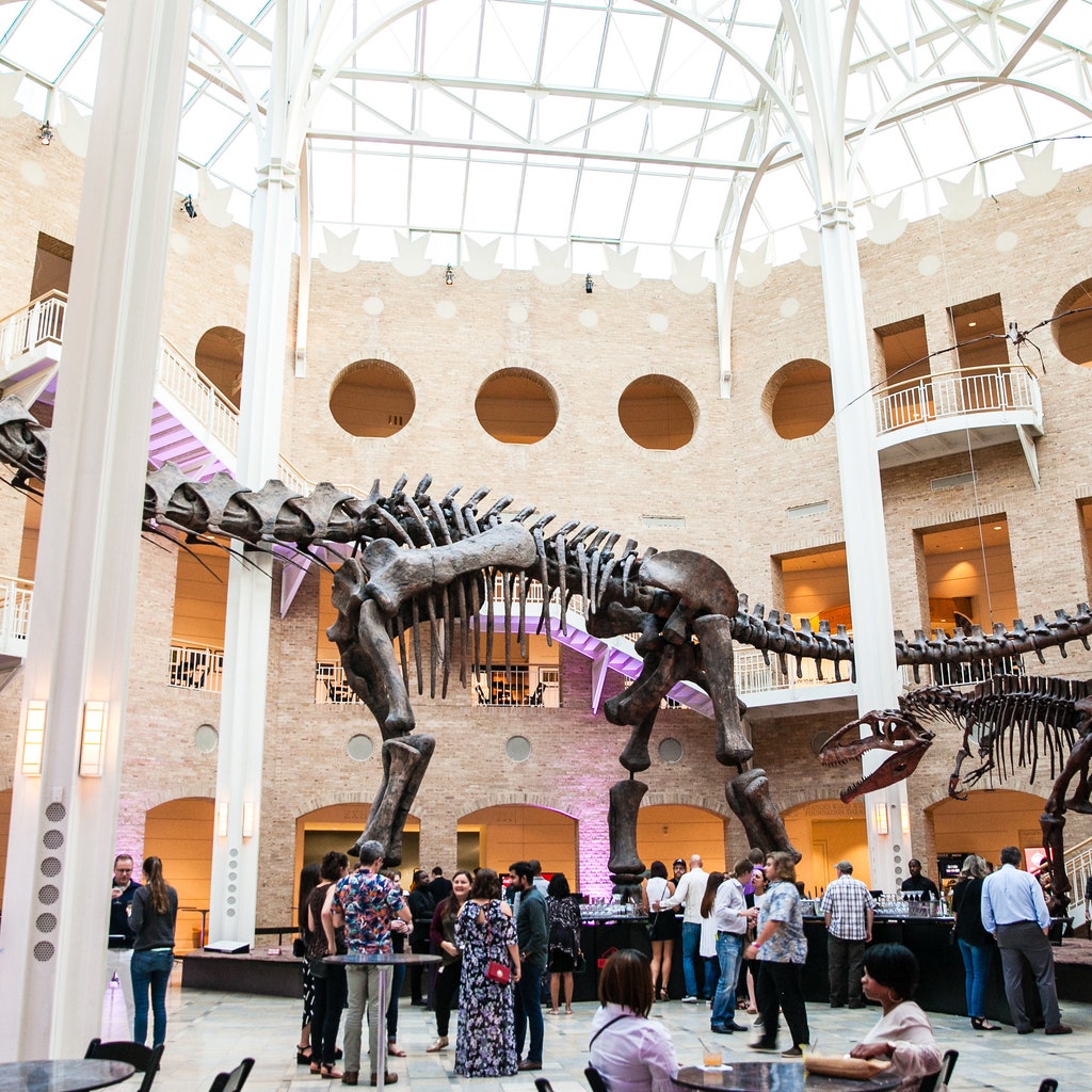 https://mdw-travel-data-us-east-1.s3.amazonaws.com/img/country/United-States/Fernbank-Museum-of-Natural-History/img_00.jpg