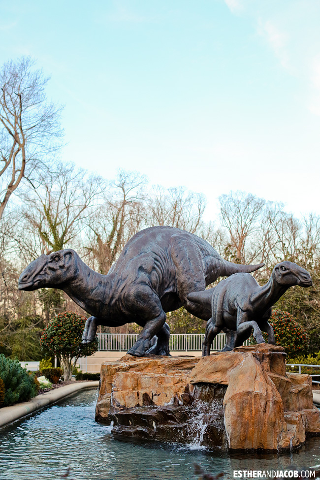 https://mdw-travel-data-us-east-1.s3.amazonaws.com/img/country/United-States/Fernbank-Museum-of-Natural-History/img_02.jpg