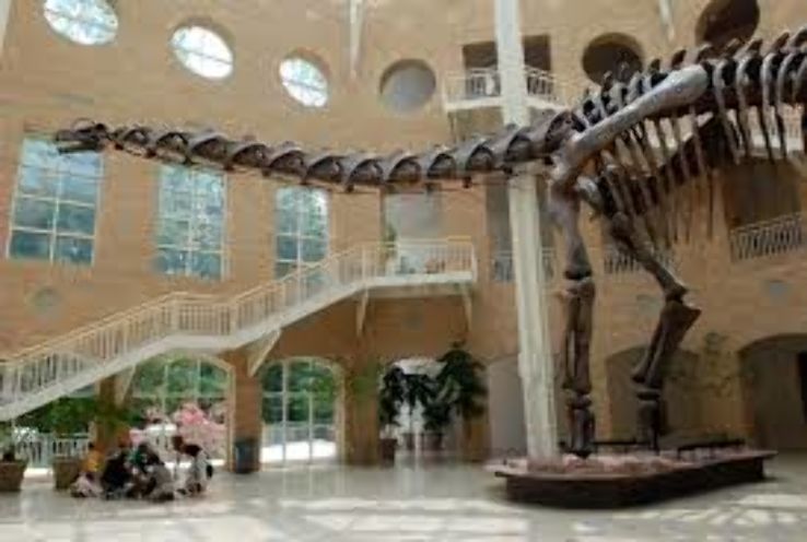 https://mdw-travel-data-us-east-1.s3.amazonaws.com/img/country/United-States/Fernbank-Museum-of-Natural-History/img_04.jpg