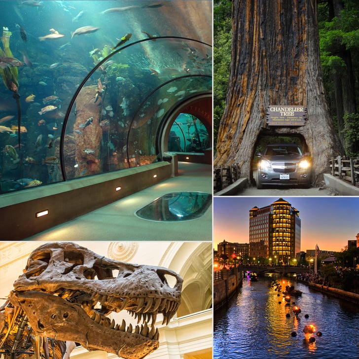 https://mdw-travel-data-us-east-1.s3.amazonaws.com/img/country/United-States/Fun-Spot-America/img_03.jpg