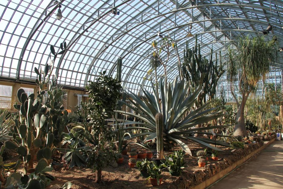 https://mdw-travel-data-us-east-1.s3.amazonaws.com/img/country/United-States/Garfield-Park-Conservatory/img_02.jpg