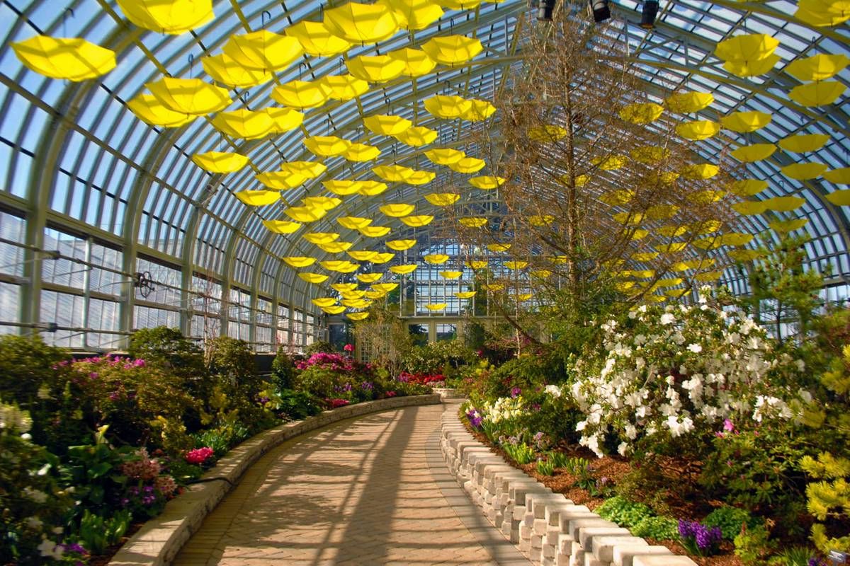 https://mdw-travel-data-us-east-1.s3.amazonaws.com/img/country/United-States/Garfield-Park-Conservatory/img_03.jpg