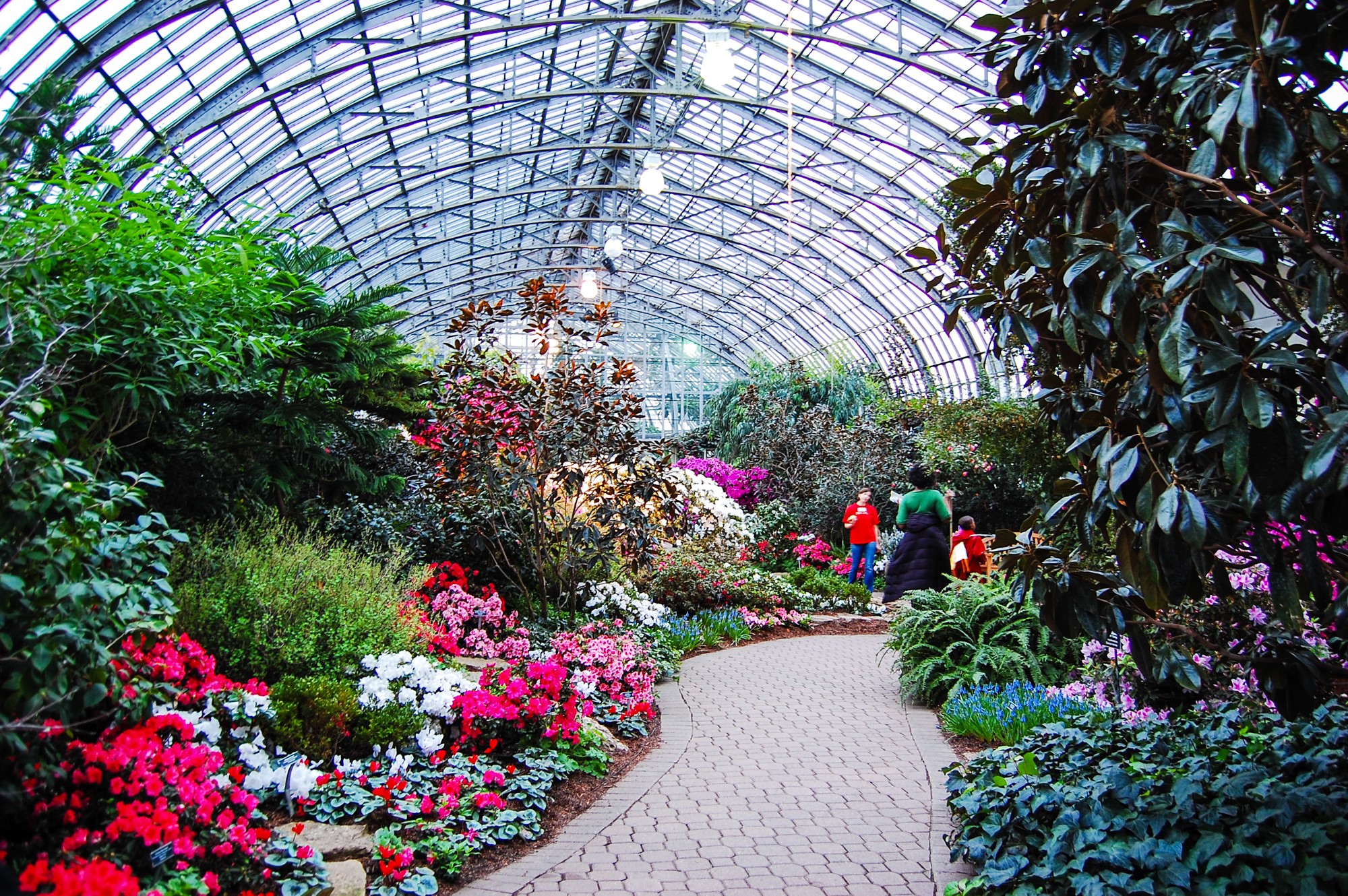 https://mdw-travel-data-us-east-1.s3.amazonaws.com/img/country/United-States/Garfield-Park-Conservatory/img_05.jpg