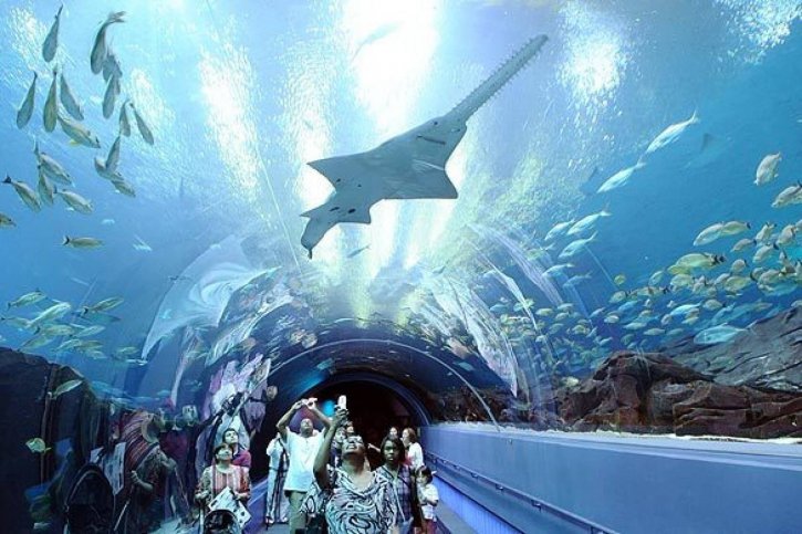 https://mdw-travel-data-us-east-1.s3.amazonaws.com/img/country/United-States/Georgia-Aquarium/img_03.jpg