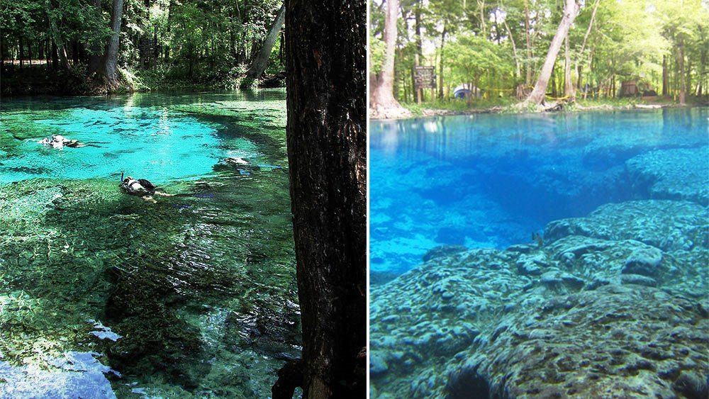 https://mdw-travel-data-us-east-1.s3.amazonaws.com/img/country/United-States/Ginnie-Springs/img_03.jpg