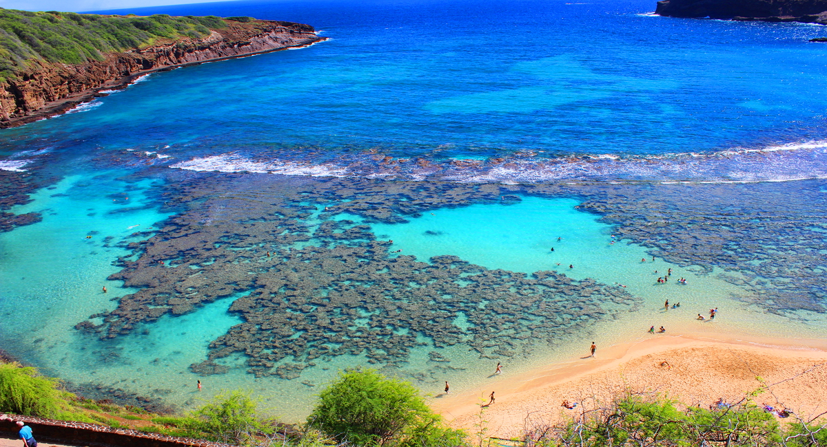 https://mdw-travel-data-us-east-1.s3.amazonaws.com/img/country/United-States/Hanauma-Bay-Nature-Preserve/img_04.jpg