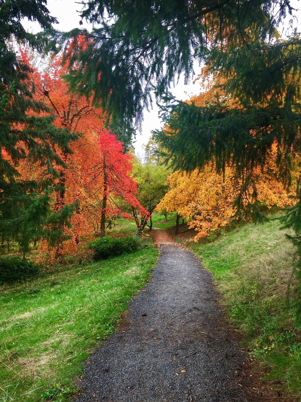 https://mdw-travel-data-us-east-1.s3.amazonaws.com/img/country/United-States/Hoyt-Arboretum/img_03.jpg