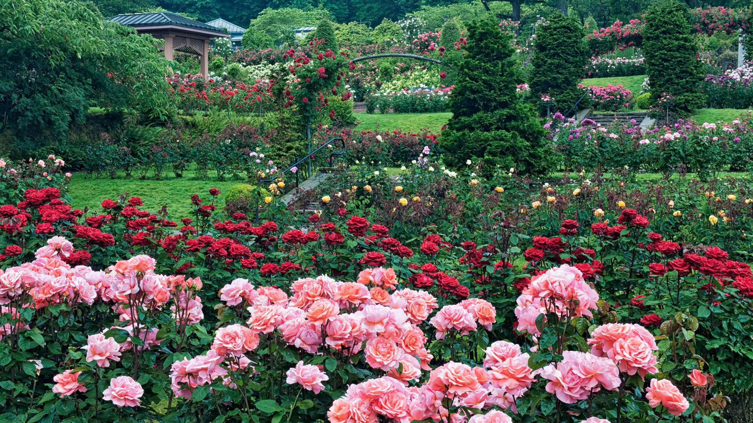 https://mdw-travel-data-us-east-1.s3.amazonaws.com/img/country/United-States/International-Rose-Test-Garden/img_00.jpg