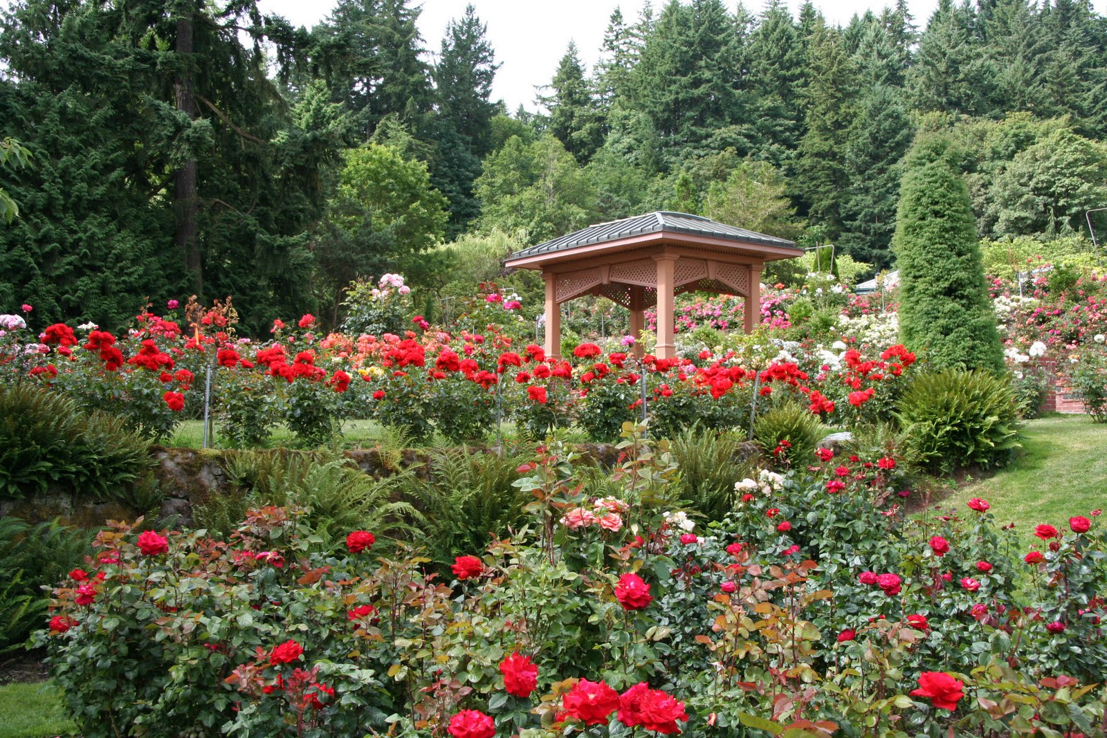 https://mdw-travel-data-us-east-1.s3.amazonaws.com/img/country/United-States/International-Rose-Test-Garden/img_02.jpg