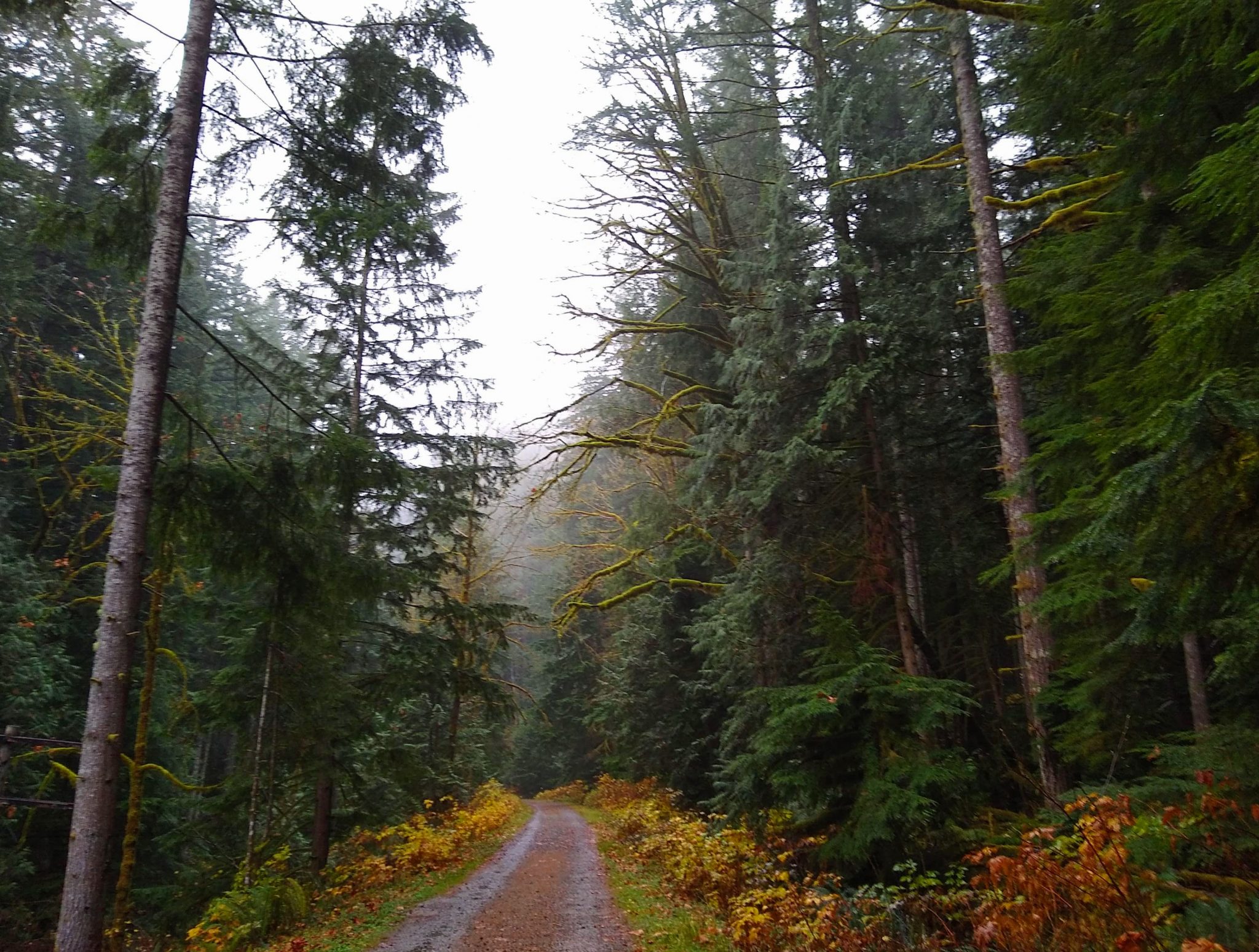 https://mdw-travel-data-us-east-1.s3.amazonaws.com/img/country/United-States/Iron-Horse-State-Park-Trail/img_03.jpg