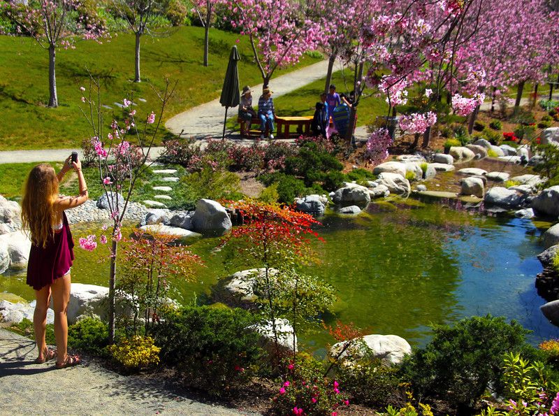 https://mdw-travel-data-us-east-1.s3.amazonaws.com/img/country/United-States/Japanese-Friendship-Garden/img_00.jpg
