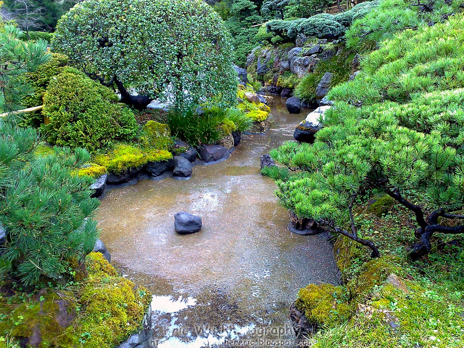 https://mdw-travel-data-us-east-1.s3.amazonaws.com/img/country/United-States/Japanese-Tea-Garden/img_01.jpg