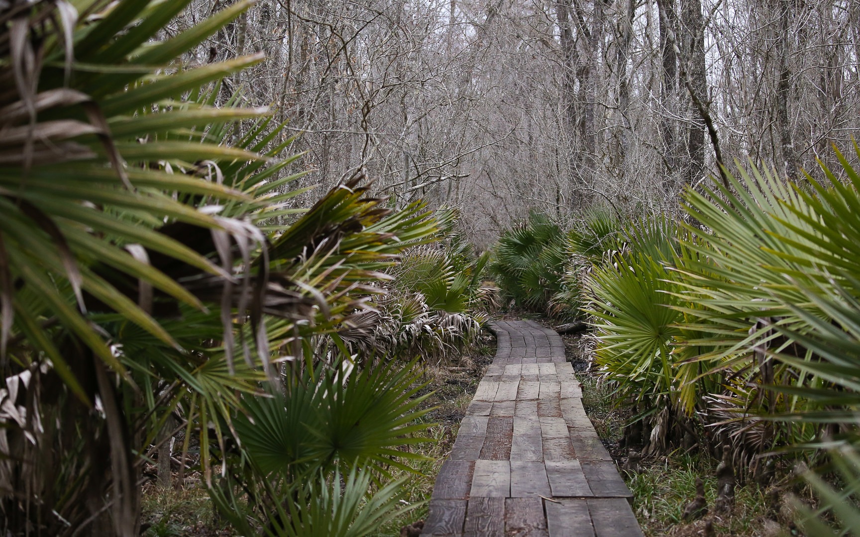 https://mdw-travel-data-us-east-1.s3.amazonaws.com/img/country/United-States/Jean-Lafitte-National-Historical-Park-and-Preserve/img_01.jpg