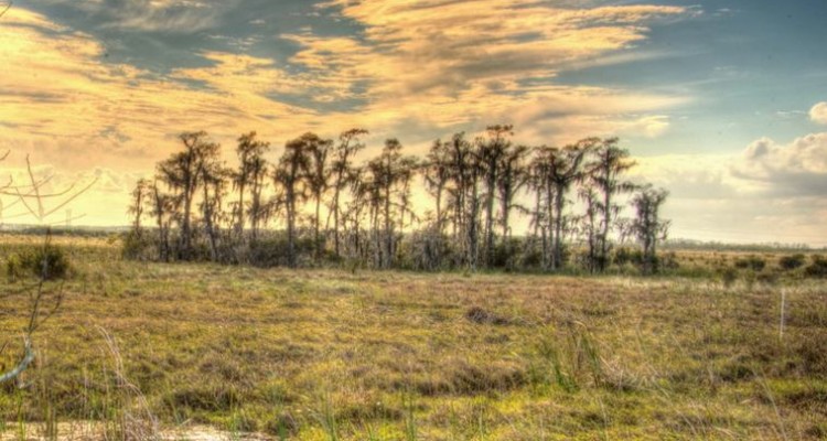 https://mdw-travel-data-us-east-1.s3.amazonaws.com/img/country/United-States/Jean-Lafitte-National-Historical-Park-and-Preserve/img_03.jpg
