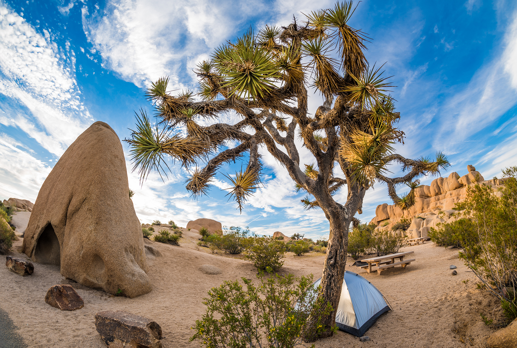 https://mdw-travel-data-us-east-1.s3.amazonaws.com/img/country/United-States/Joshua-Tree-National-Park/img_00.jpg