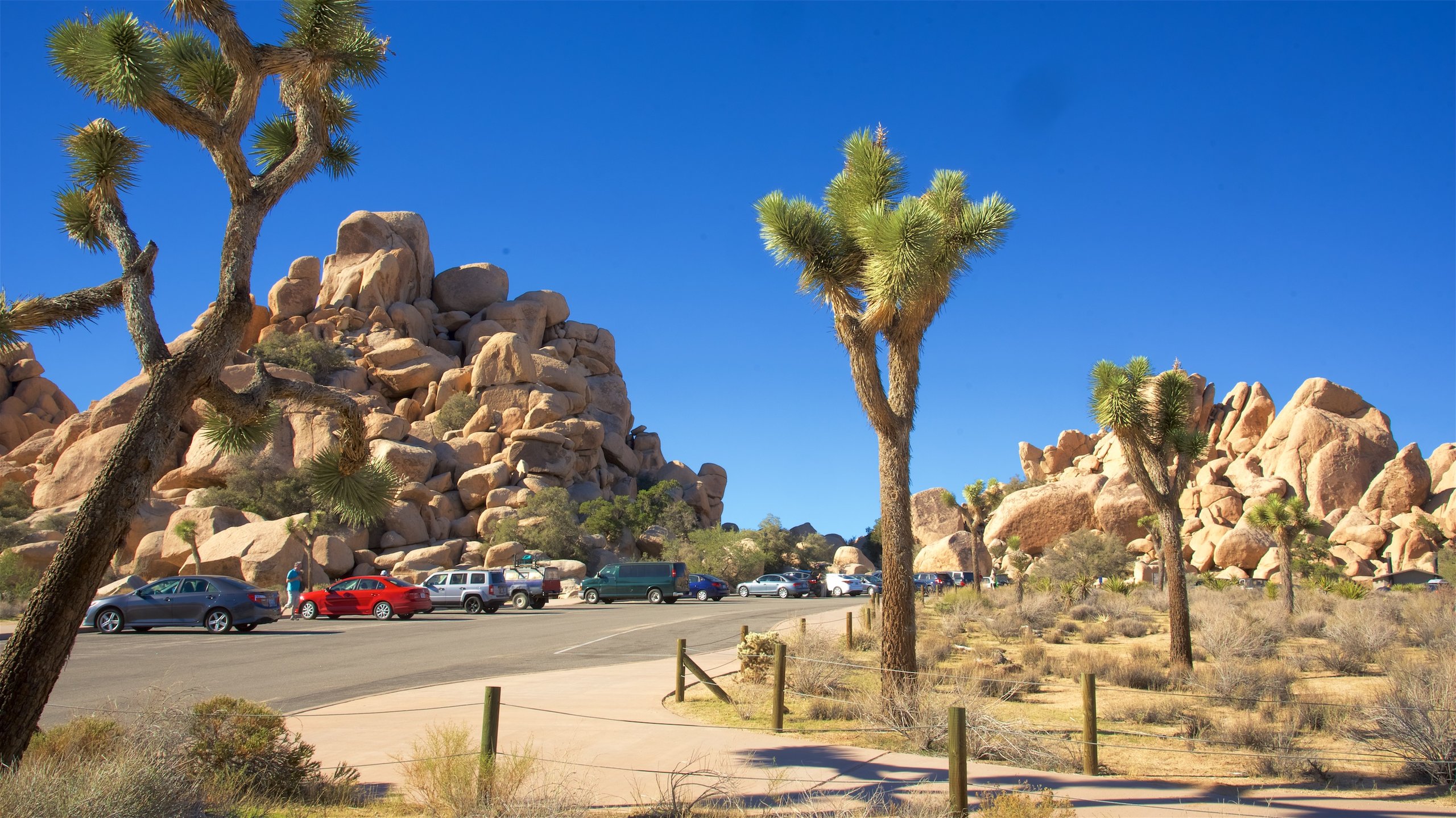 https://mdw-travel-data-us-east-1.s3.amazonaws.com/img/country/United-States/Joshua-Tree-National-Park/img_01.jpg