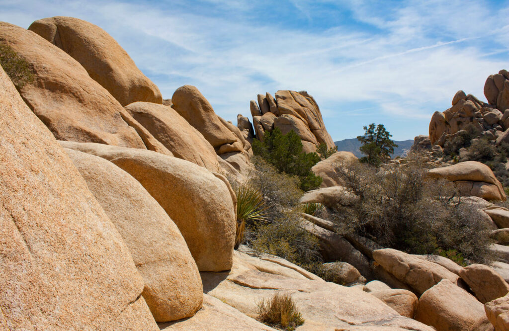 https://mdw-travel-data-us-east-1.s3.amazonaws.com/img/country/United-States/Joshua-Tree-National-Park/img_02.jpg