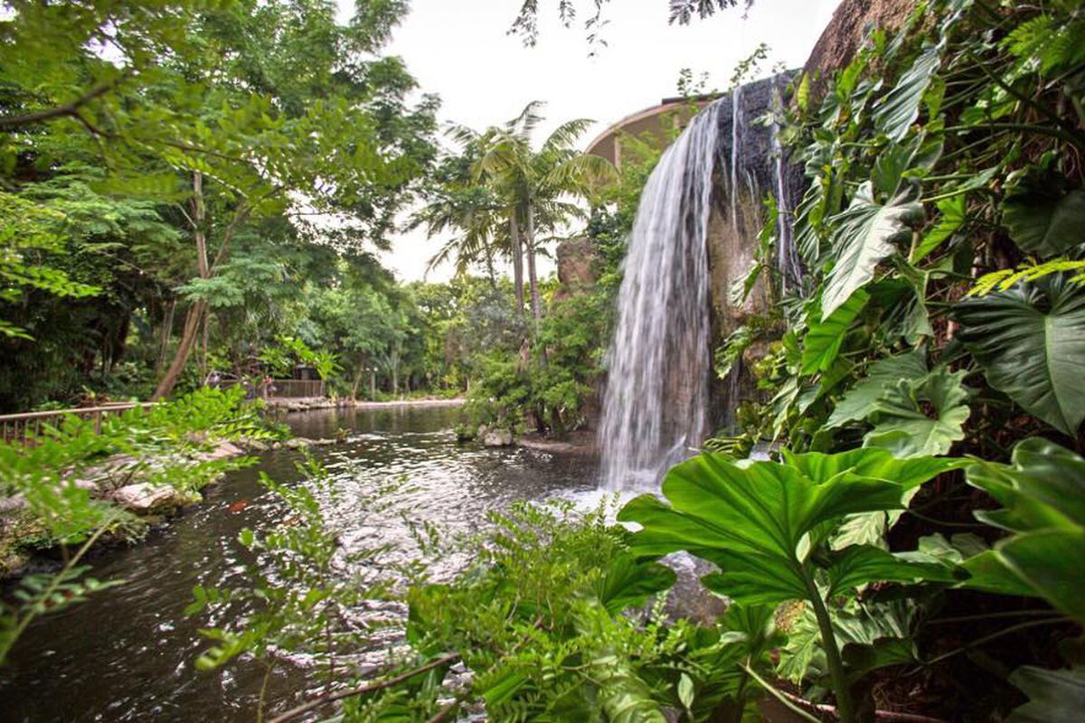 https://mdw-travel-data-us-east-1.s3.amazonaws.com/img/country/United-States/Jungle-Island/img_00.jpg
