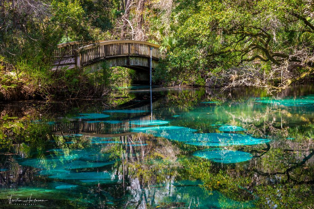 https://mdw-travel-data-us-east-1.s3.amazonaws.com/img/country/United-States/Juniper-Springs-Recreation-Area/img_00.jpg