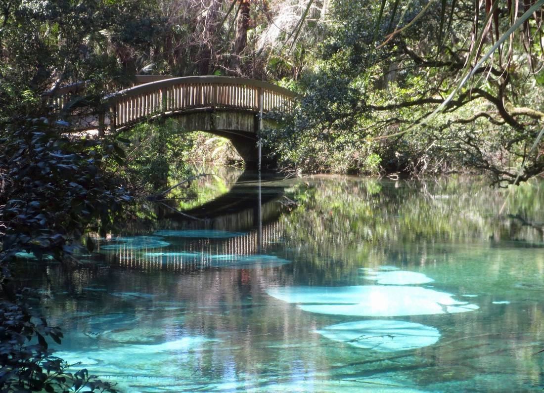 https://mdw-travel-data-us-east-1.s3.amazonaws.com/img/country/United-States/Juniper-Springs-Recreation-Area/img_02.jpg