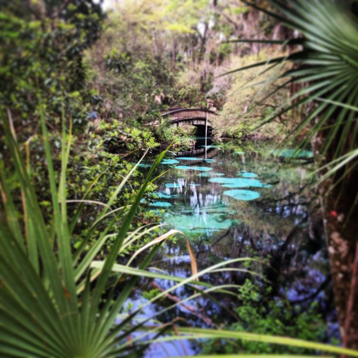 https://mdw-travel-data-us-east-1.s3.amazonaws.com/img/country/United-States/Juniper-Springs-Recreation-Area/img_03.jpg