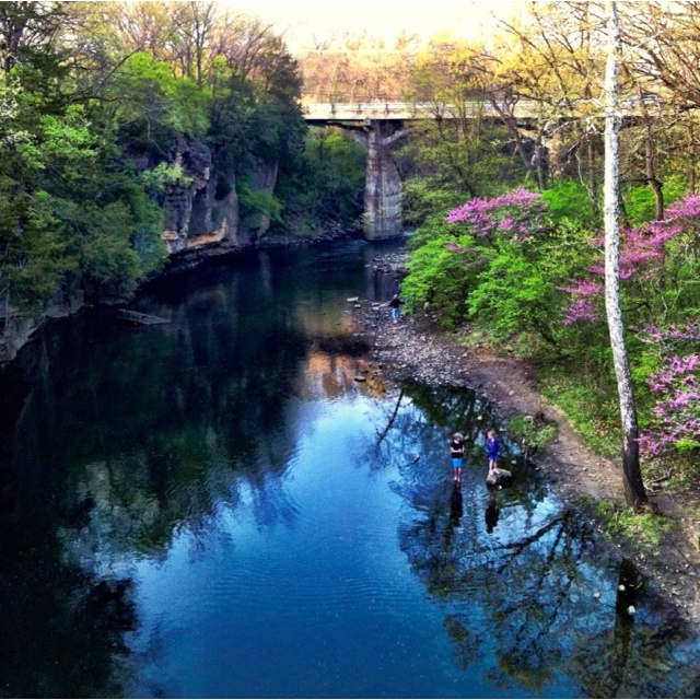 https://mdw-travel-data-us-east-1.s3.amazonaws.com/img/country/United-States/Kankakee-River-State-Park/img_01.jpg