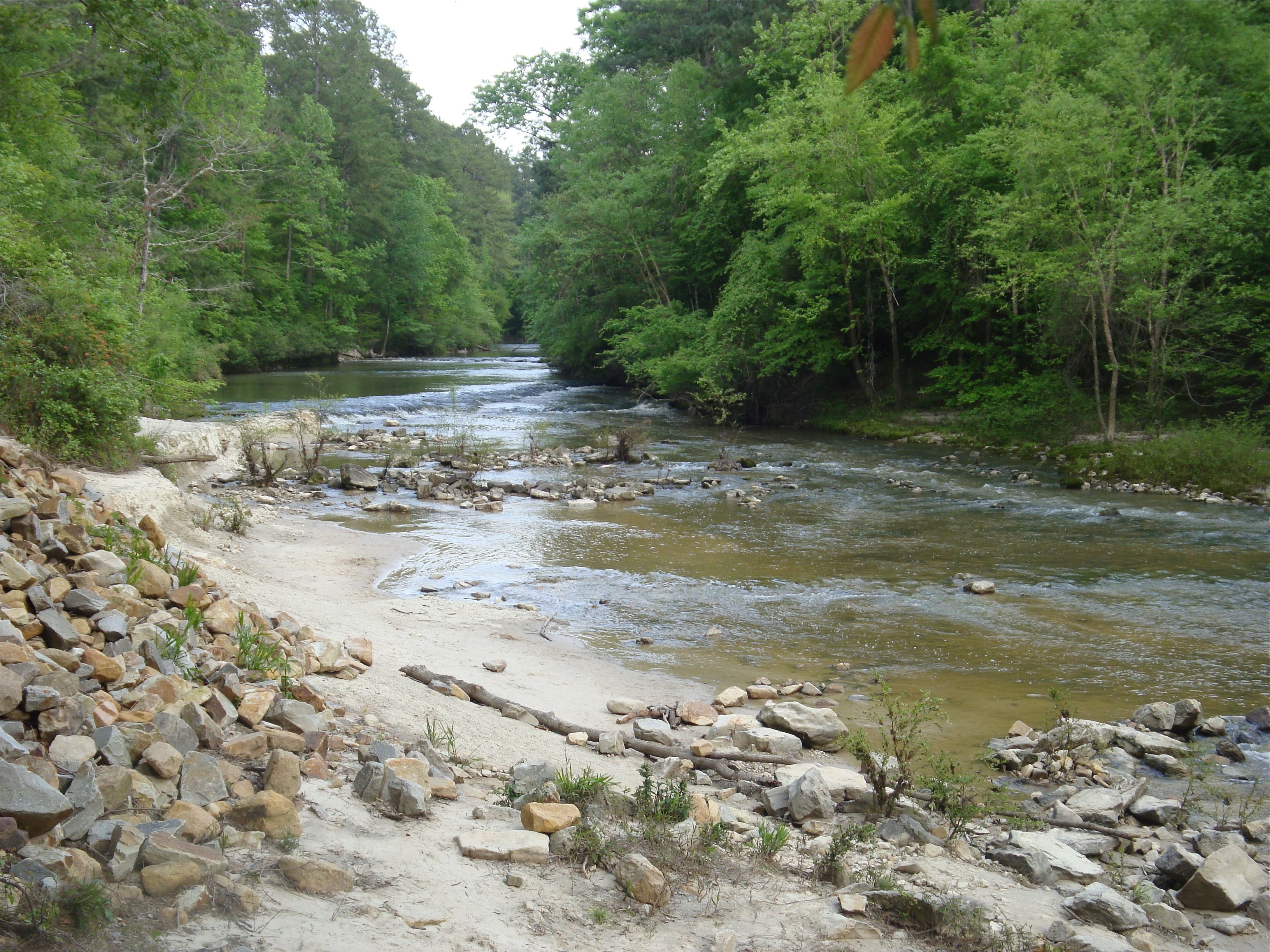 https://mdw-travel-data-us-east-1.s3.amazonaws.com/img/country/United-States/Kisatchie-Bayou-Recreation-Complex/img_01.jpg