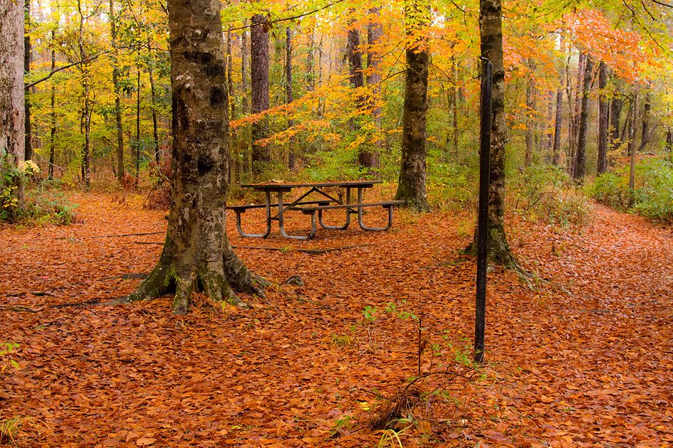 https://mdw-travel-data-us-east-1.s3.amazonaws.com/img/country/United-States/Kisatchie-Bayou-Recreation-Complex/img_03.jpg