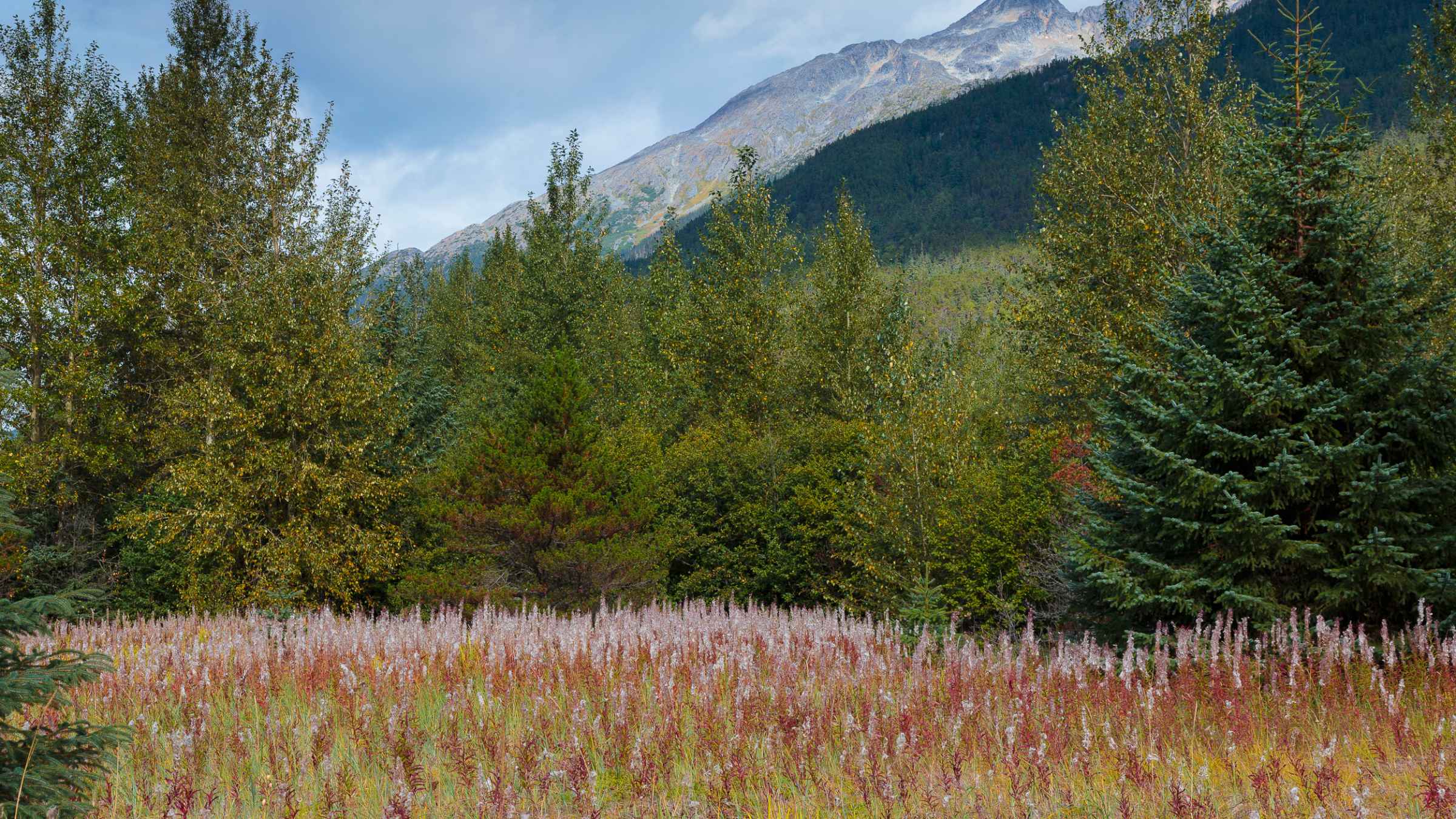 https://mdw-travel-data-us-east-1.s3.amazonaws.com/img/country/United-States/Klondike-Gold-Rush-National-Historical-Park/img_01.jpg